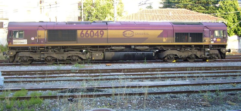 66049.JPG