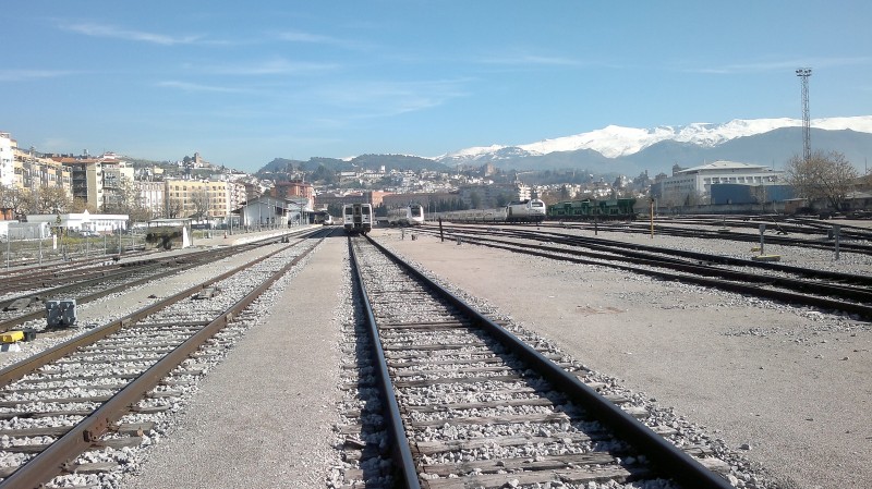 290120133486.jpg