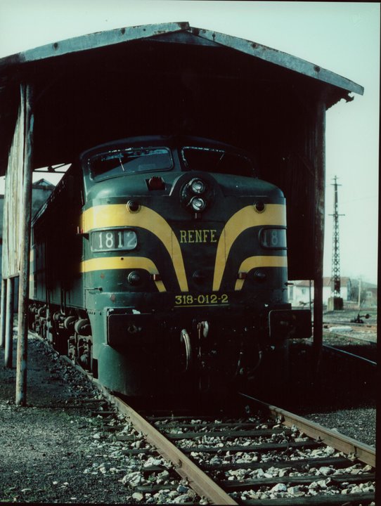 9515.jpg