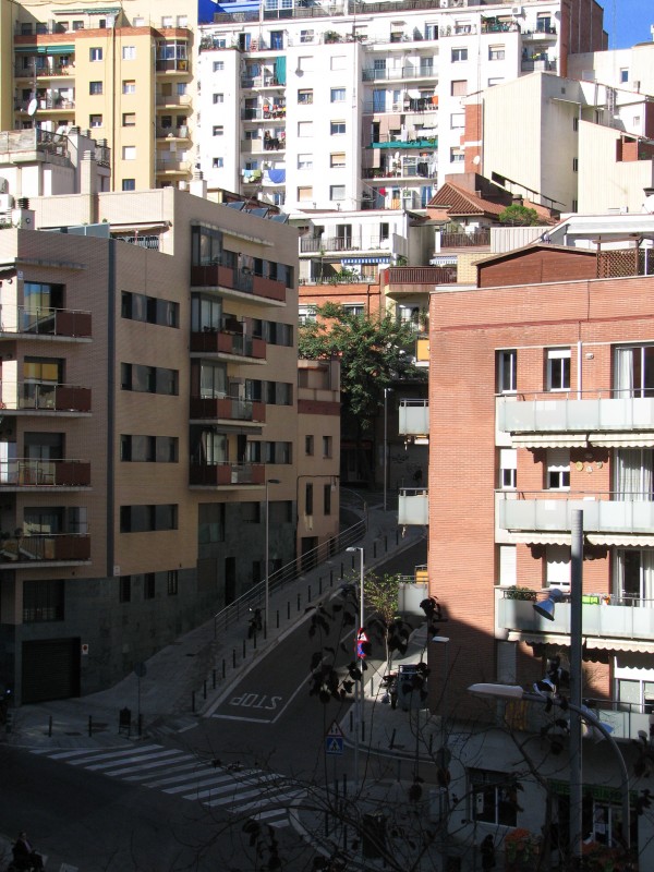 IMG_4717.JPG