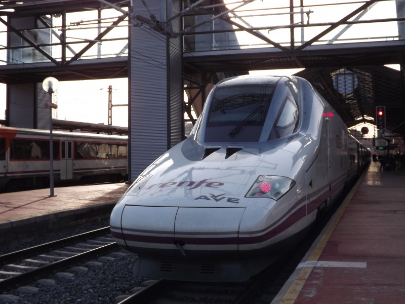 Pato en Valladolid Campo Grande con destino Madrid Chamartin..JPG