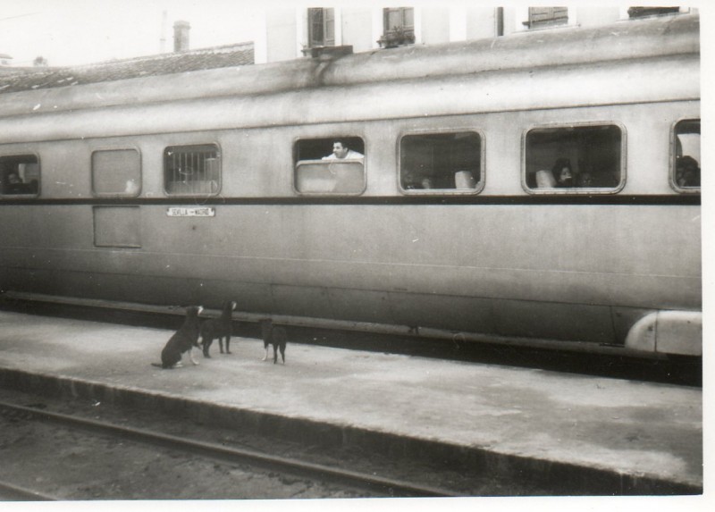 Taf Sevilla-Madrid-Atocha.jpg