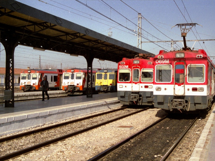 7036.jpg