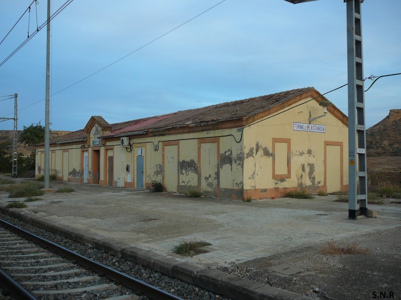 P1030591.JPG