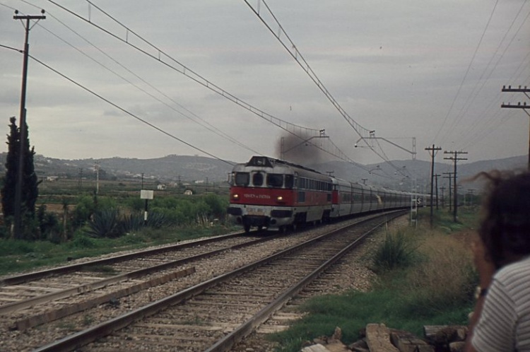 9581.jpg