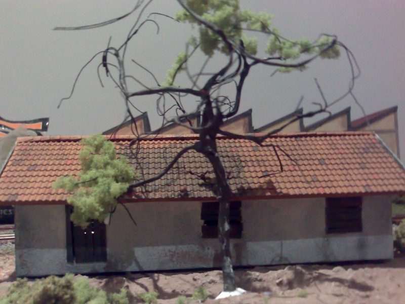 01092008394.jpg