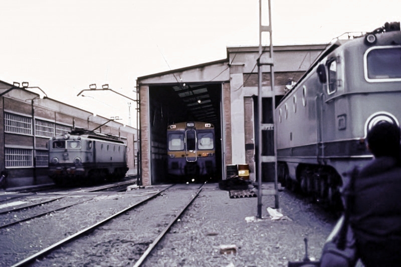 Mis Trenes 355 - copia.jpg