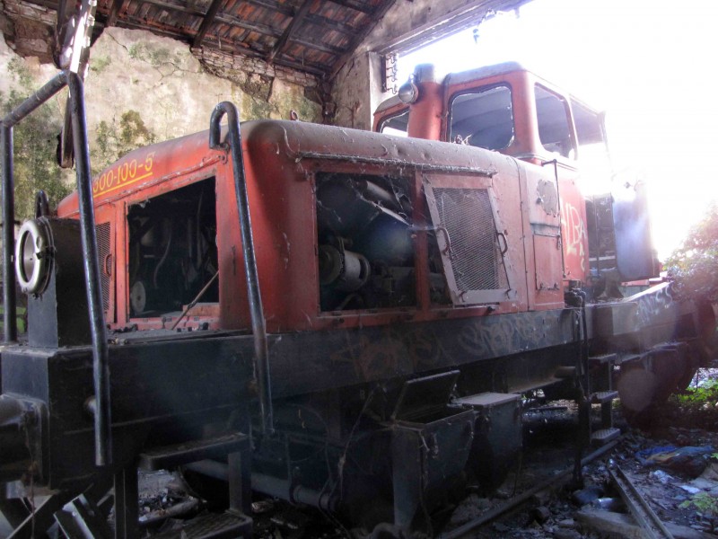01 Llevaneus 100 a ripoll 26-11-2011.jpg
