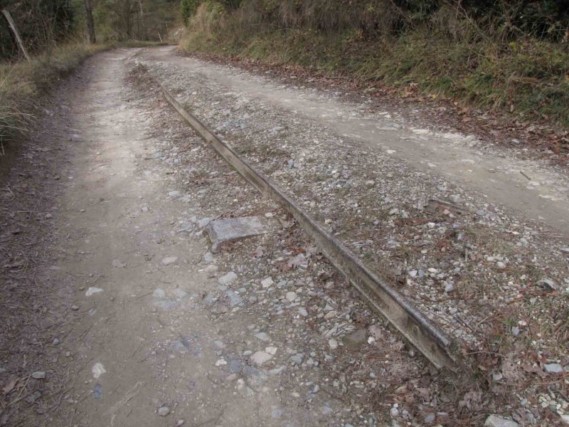 via al cami de darrera l'estació de Sant Joan.jpg