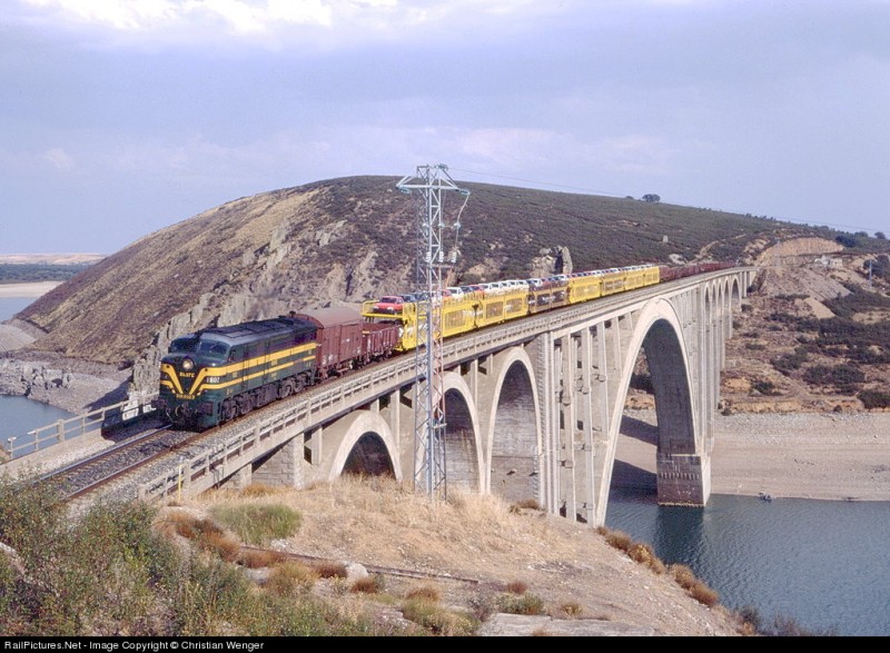 9622.jpg