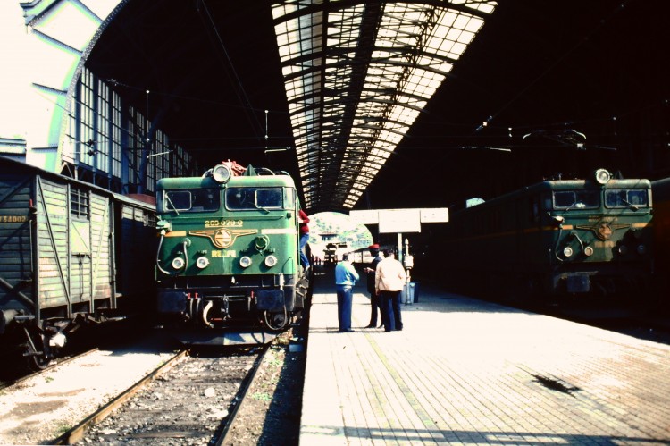 9625.JPG