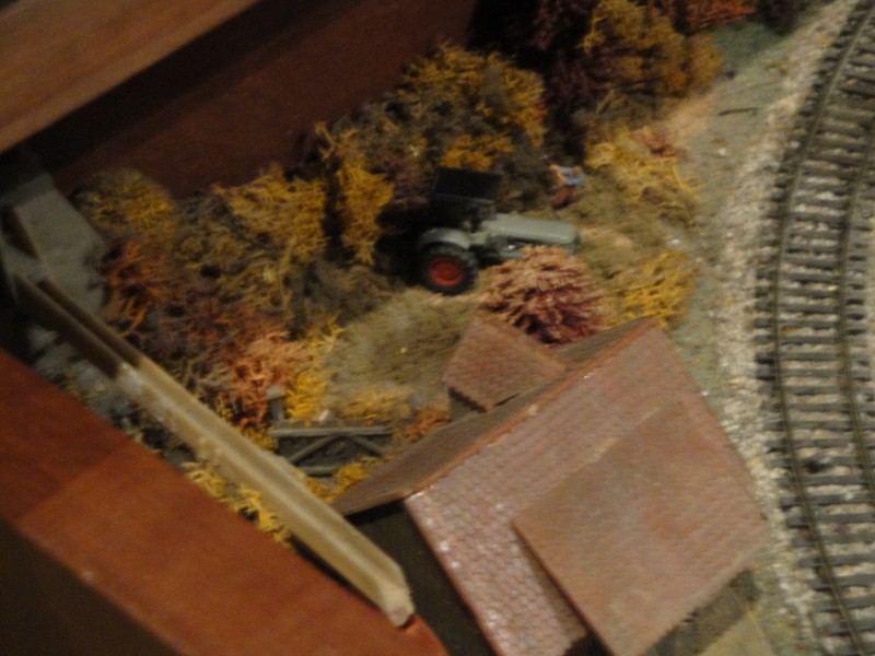 DSC01302.JPG