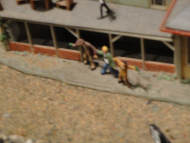 DSC01309.JPG