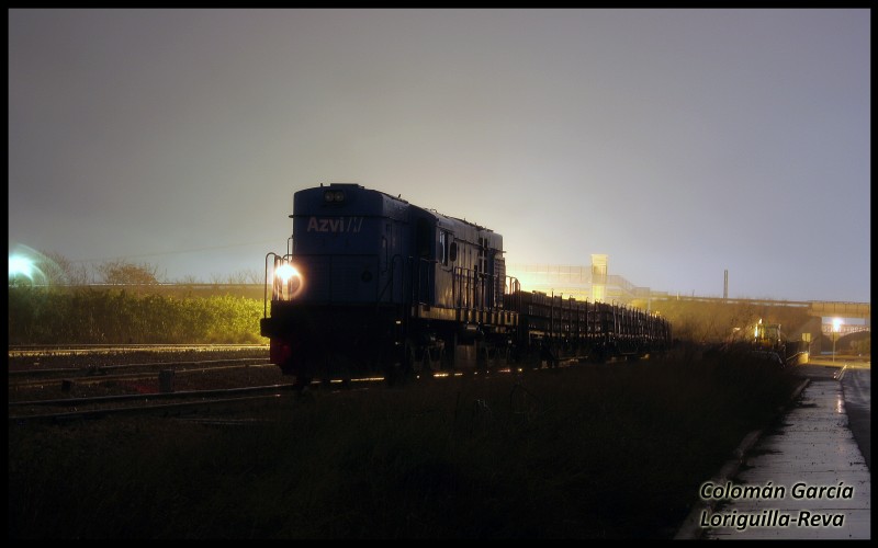 1324Azvi2 005.jpg