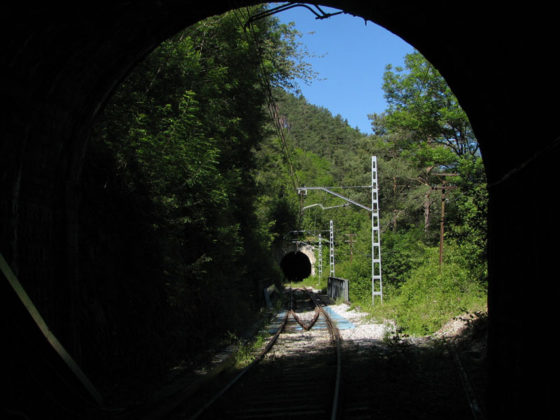 4 Amb la linea ja tallada per la seva renovacio.jpg