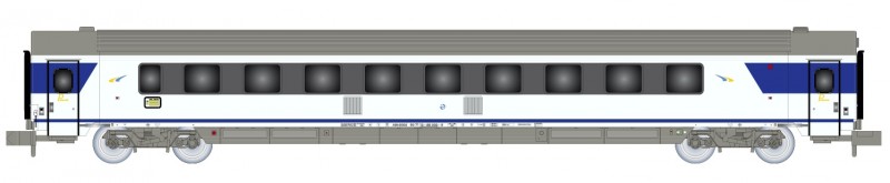 large12.jpg