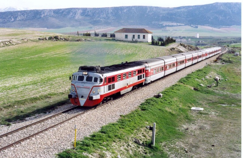 9725.jpg