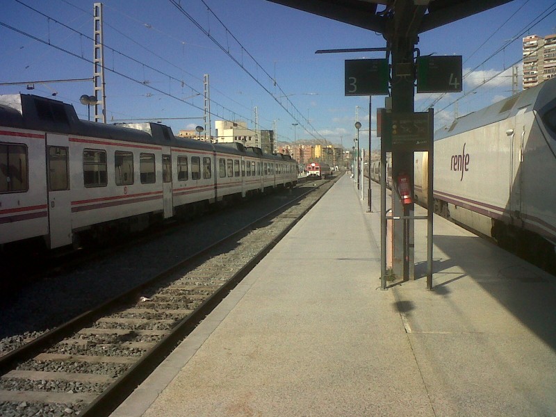 Camello 1.jpg