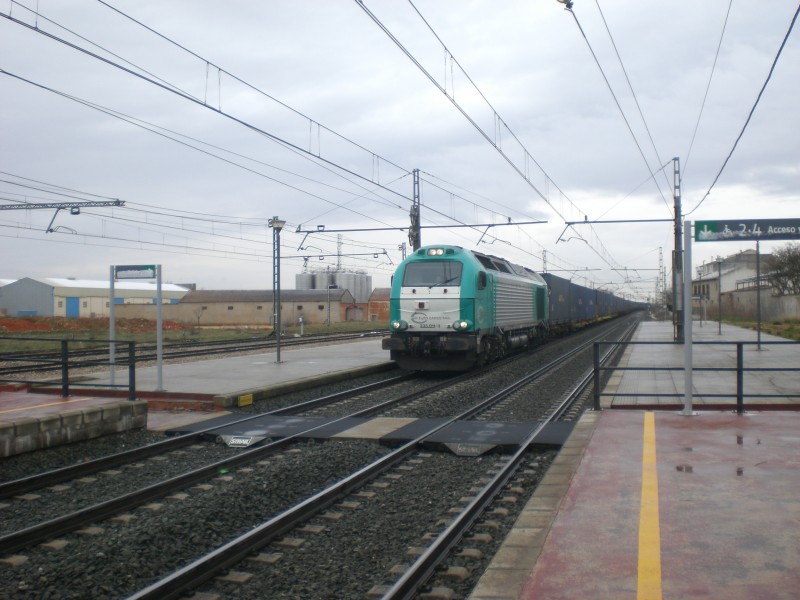 CIMG6658.JPG