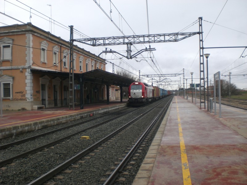 CIMG6659.JPG