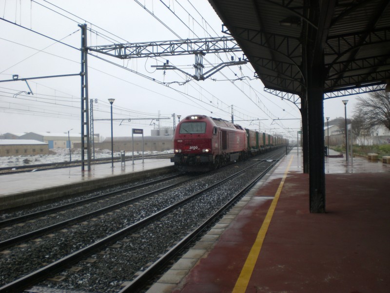 CIMG6684.JPG