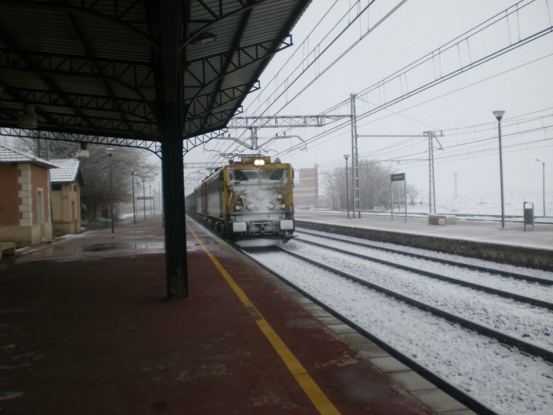CIMG6695.JPG