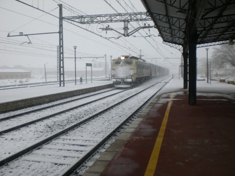 CIMG6704.JPG