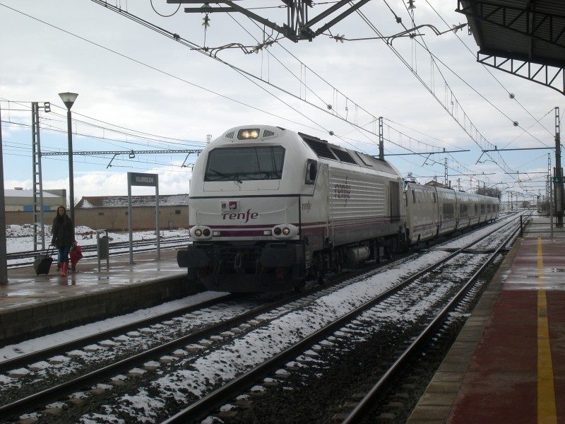 CIMG6774.JPG