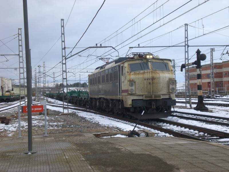 CIMG6776.JPG