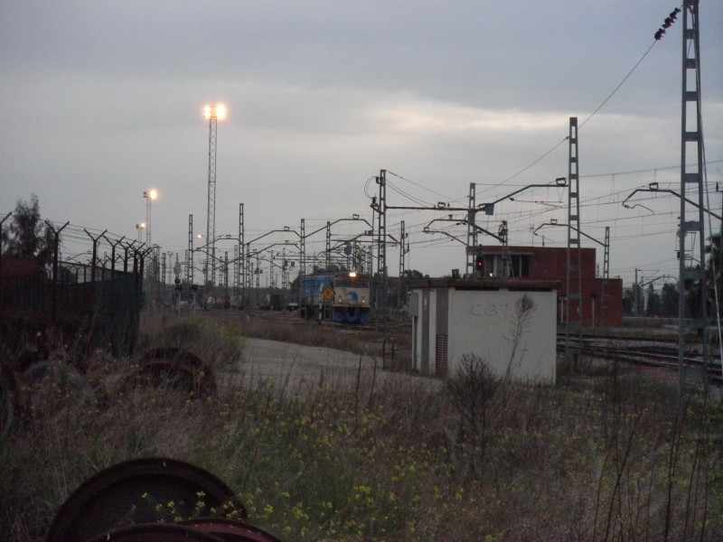P3041943.JPG