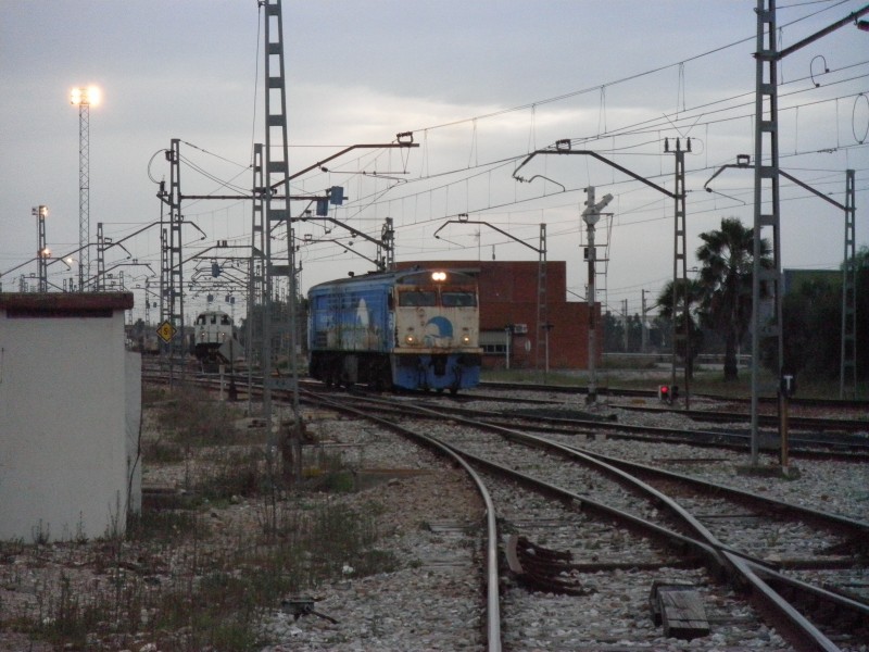 P3041944.JPG