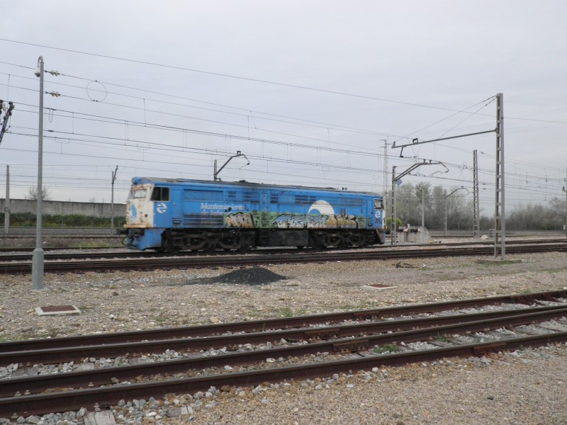 P3041947.JPG