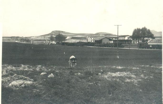 00629960.jpg