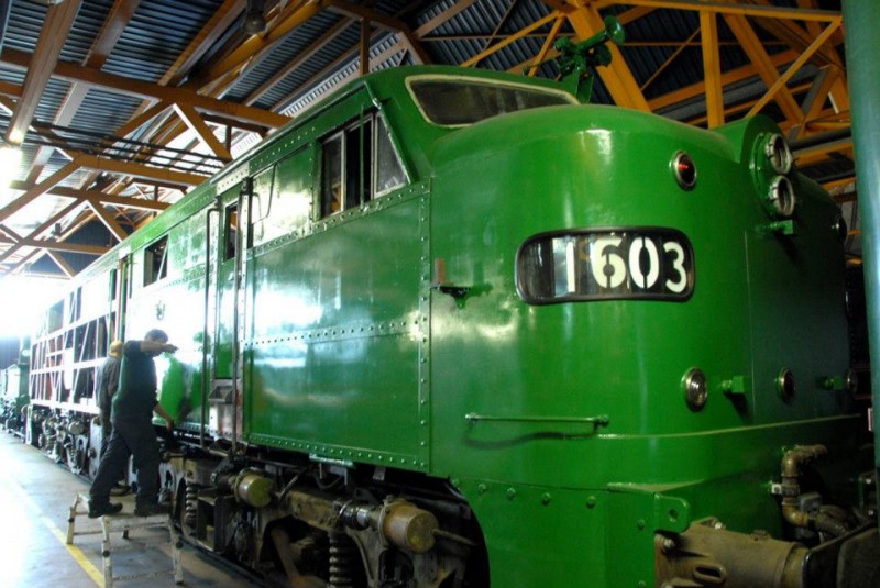 9756.jpg