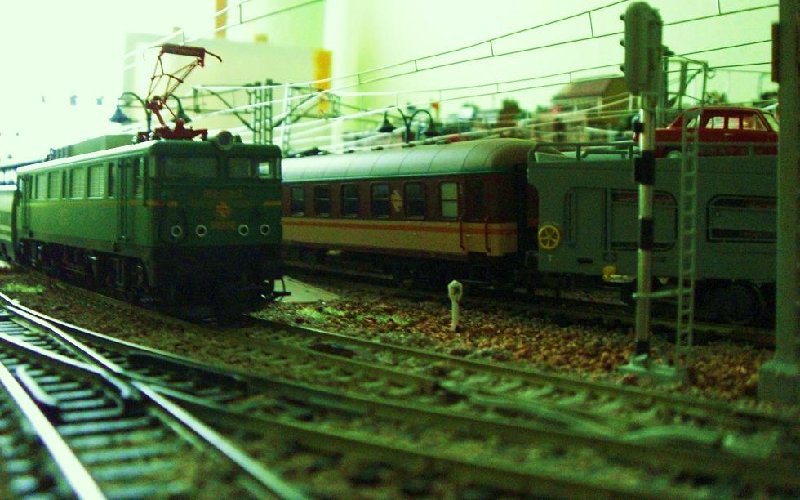 CIMG6988.JPG