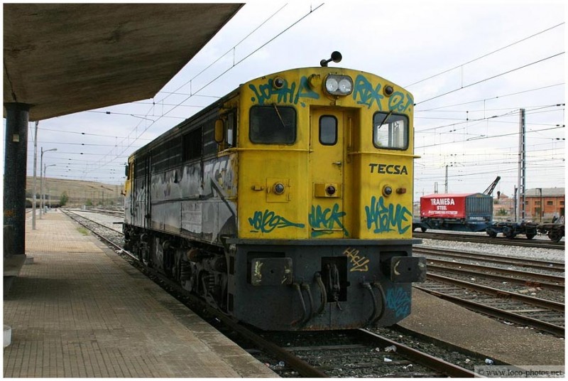 8016.jpg