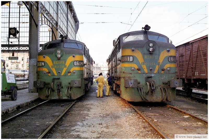 9801.jpg