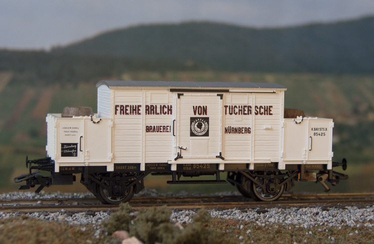 tri_23910.jpg