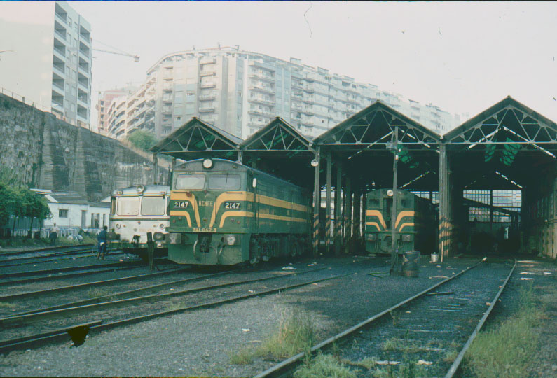 9806.jpg