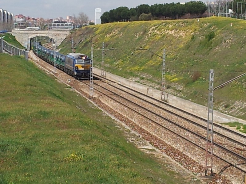 2013-03-21 12.55.19.jpg