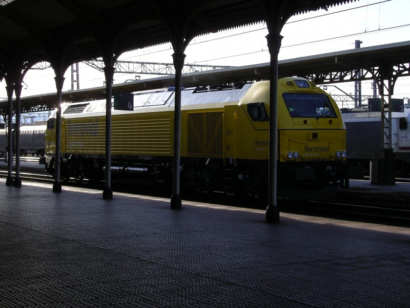 IMGP0714.JPG