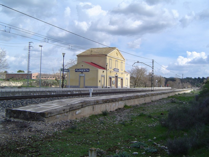 La Floresta 4.JPG
