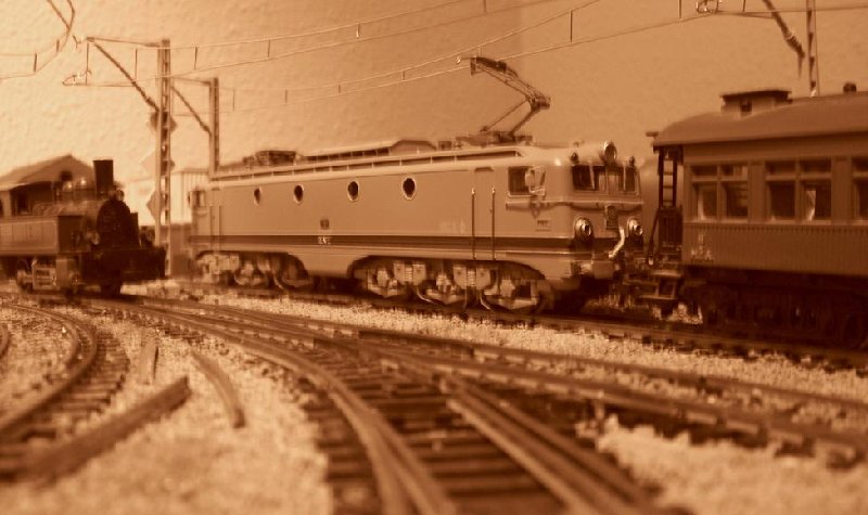 CIMG7008.JPG