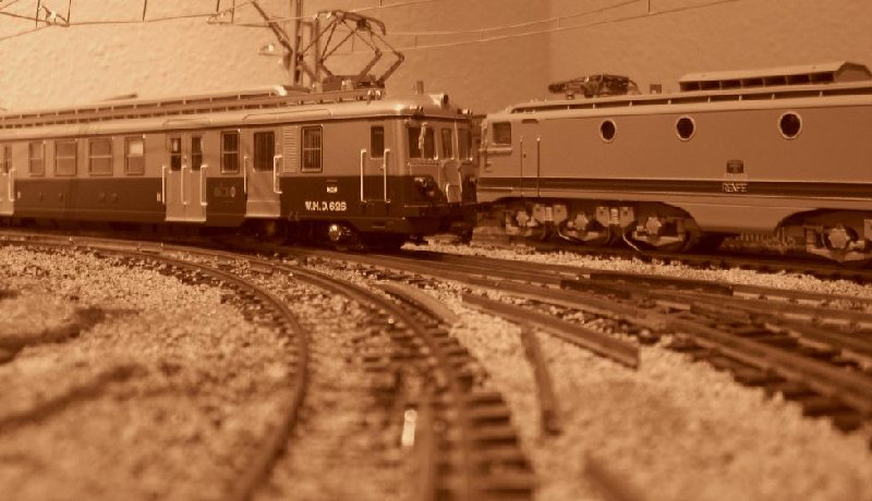 CIMG7010.JPG