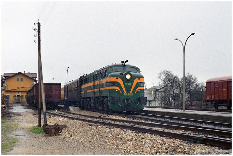9878.jpg