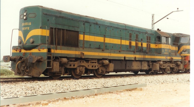 164.jpg