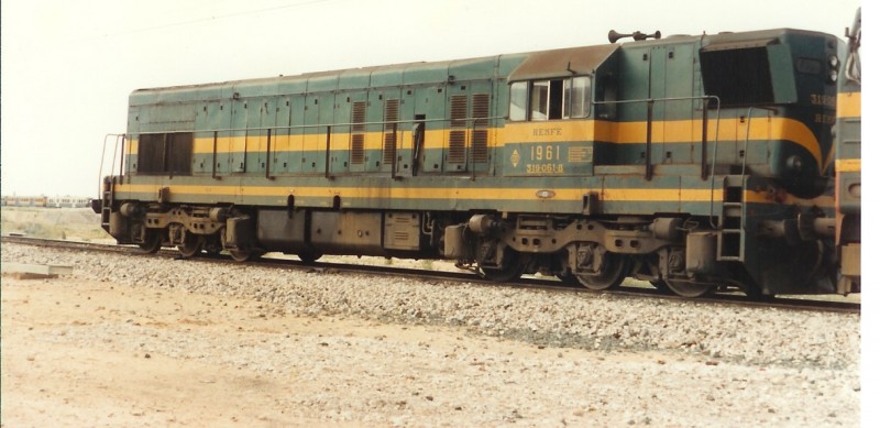 163.jpg