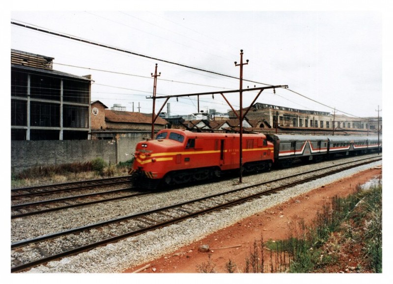 9890.jpg
