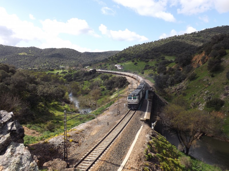 DSCF1173.JPG