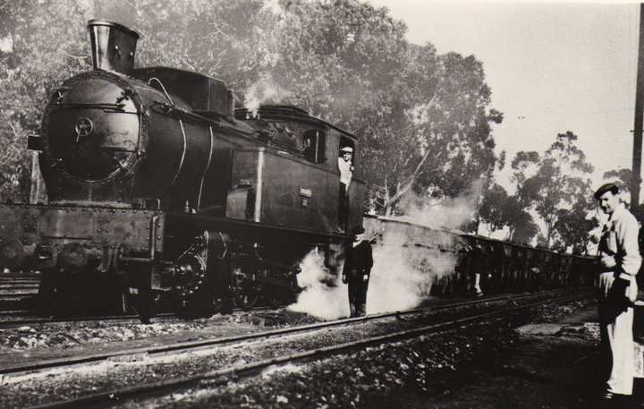 9890.jpg